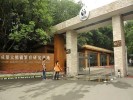 成都熊猫基地、三星堆一日游