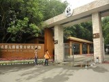 成都熊猫基地、三星堆一日游