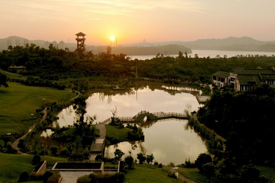 张坝桂圆林