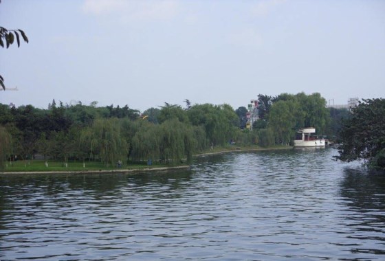 金雁湖