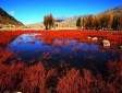 桑堆红草滩