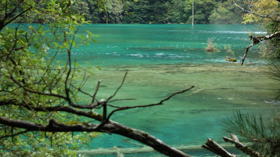 双龙海