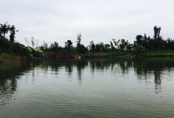 洛水湿地公园