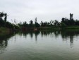 洛水湿地公园