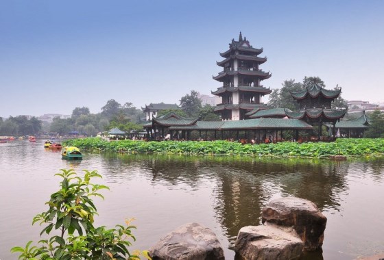 桂湖公园
