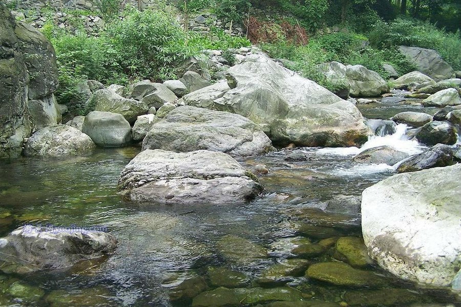 龙池国家森林公园