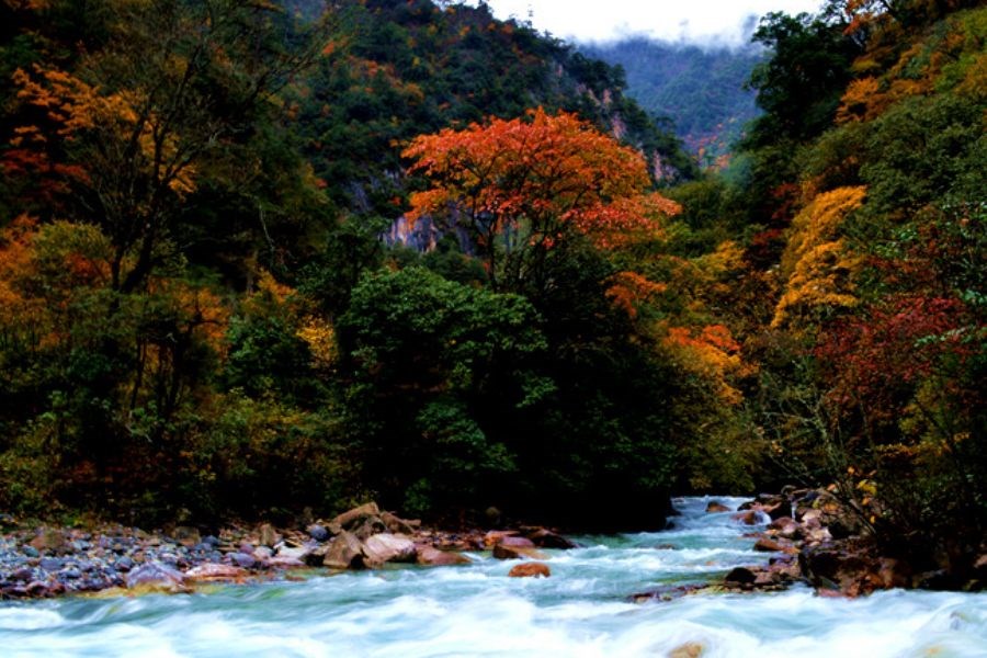 东拉山大峡谷