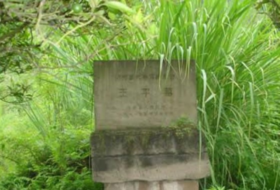 汉将军王平墓