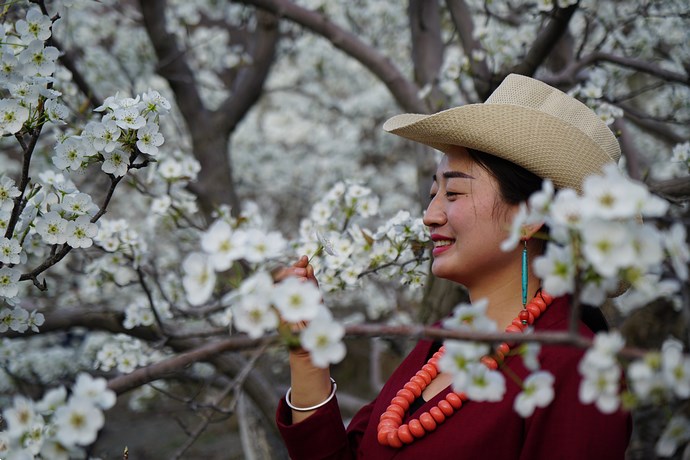 四川金川梨花节上的藏族美女