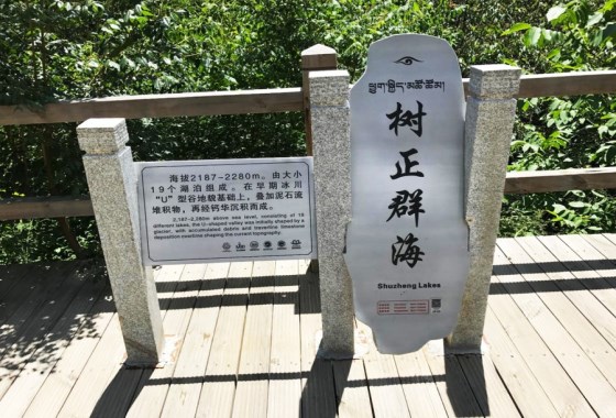 树正群海