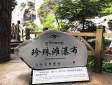 珍珠滩瀑布