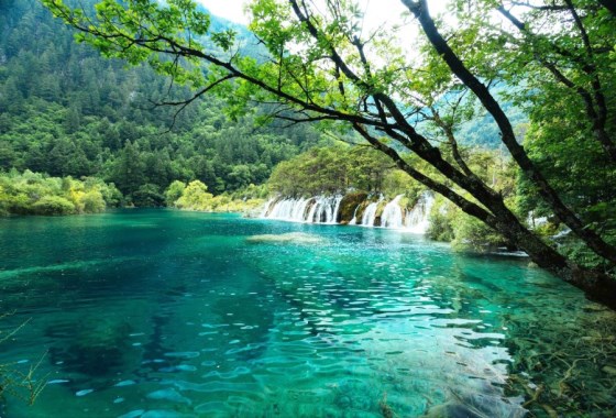 卧龙海