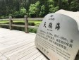 天鹅海