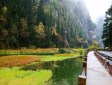 天鹅海