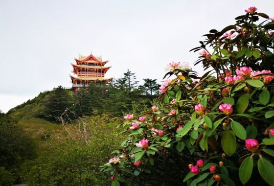 万佛顶