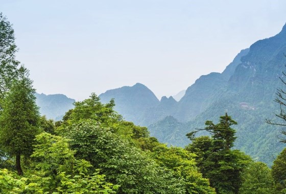 华严顶