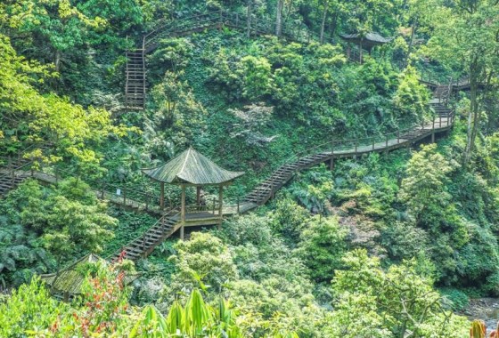 峨眉山自然生态猴区