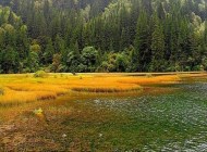 九寨沟之旅必备篇——芳草海