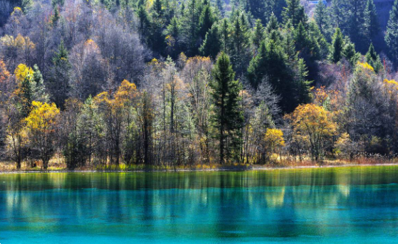 畅游九寨沟，这三大景点不可错过