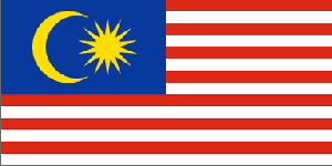马来西亚加急旅游签证（1个工作日）